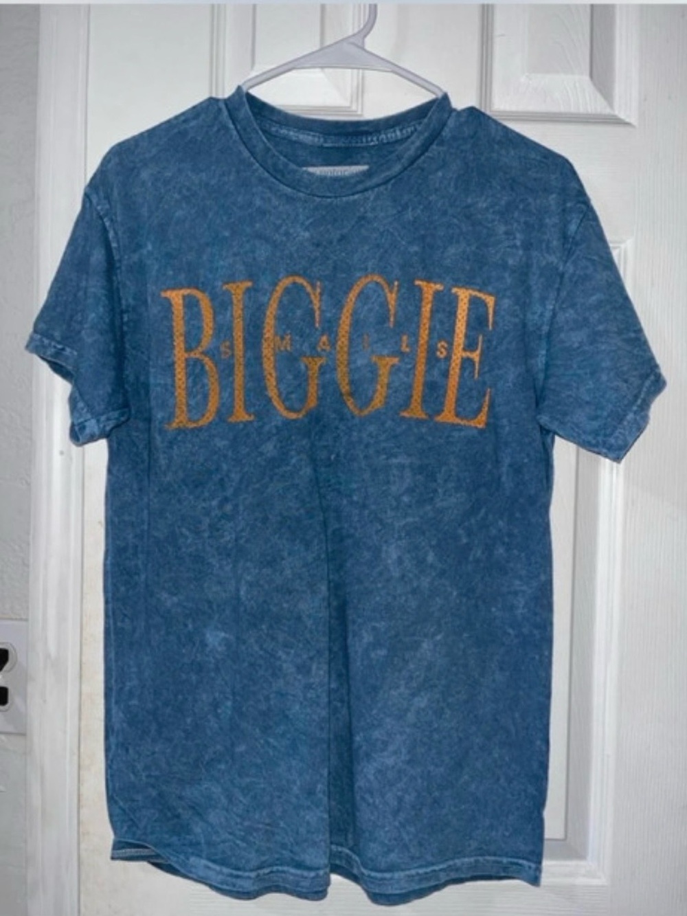 Biggie Graphic T-Shirt in Washed Blue